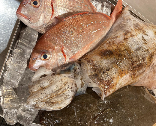 全国各地から届く鮮度抜群の魚